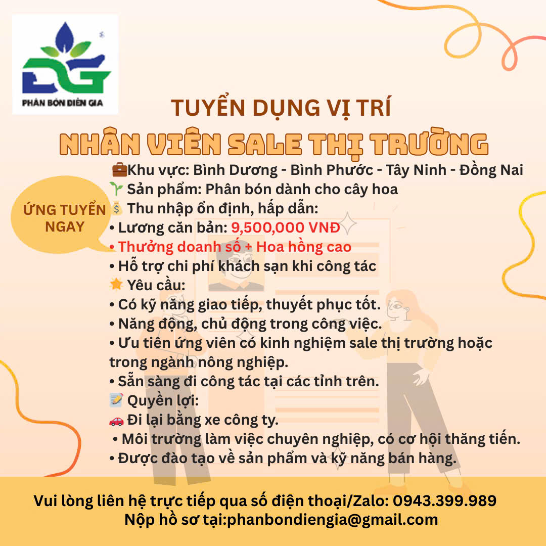 lĩnh vực hoạt động