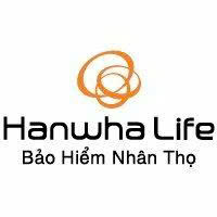 lĩnh vực hoạt động