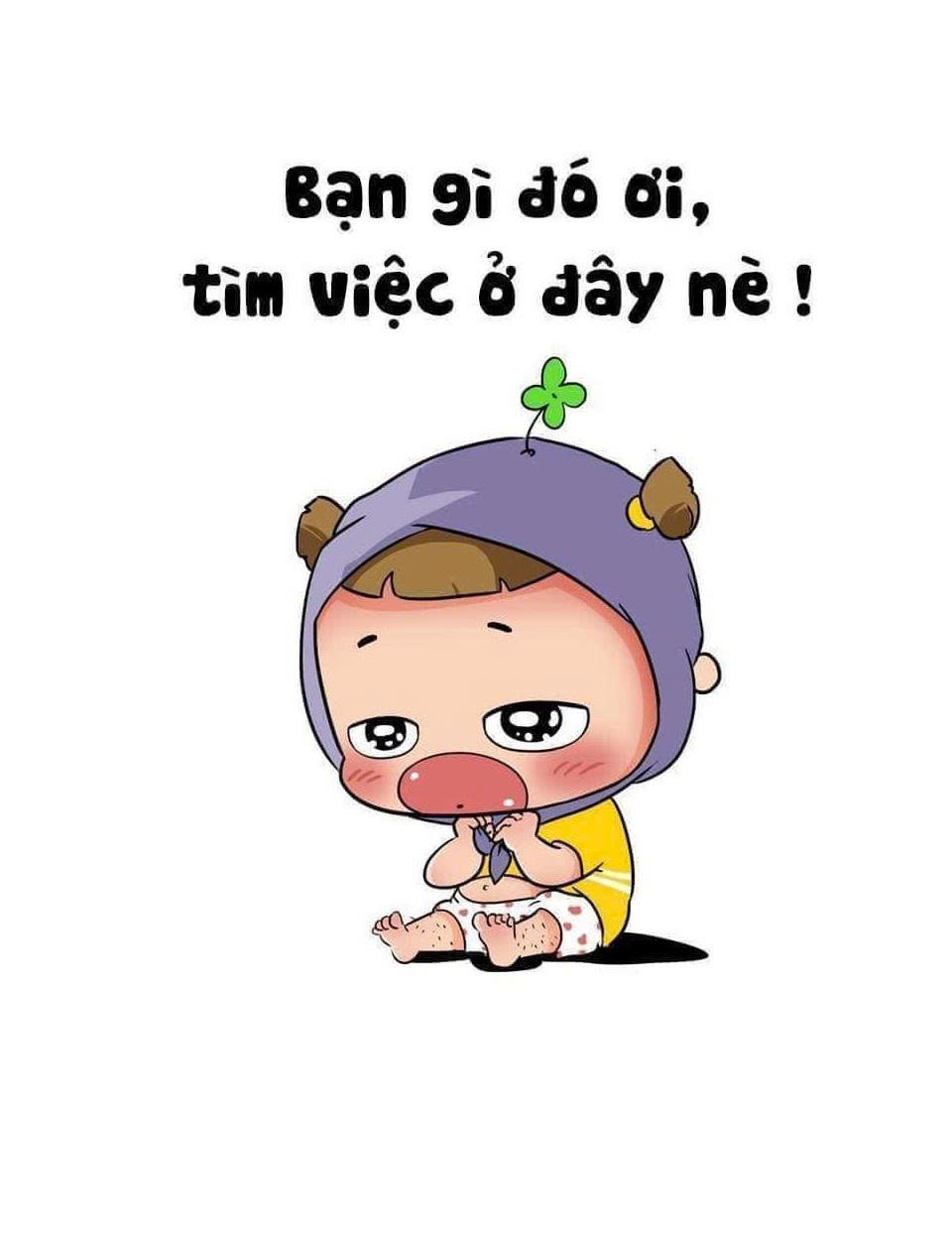 lĩnh vực hoạt động