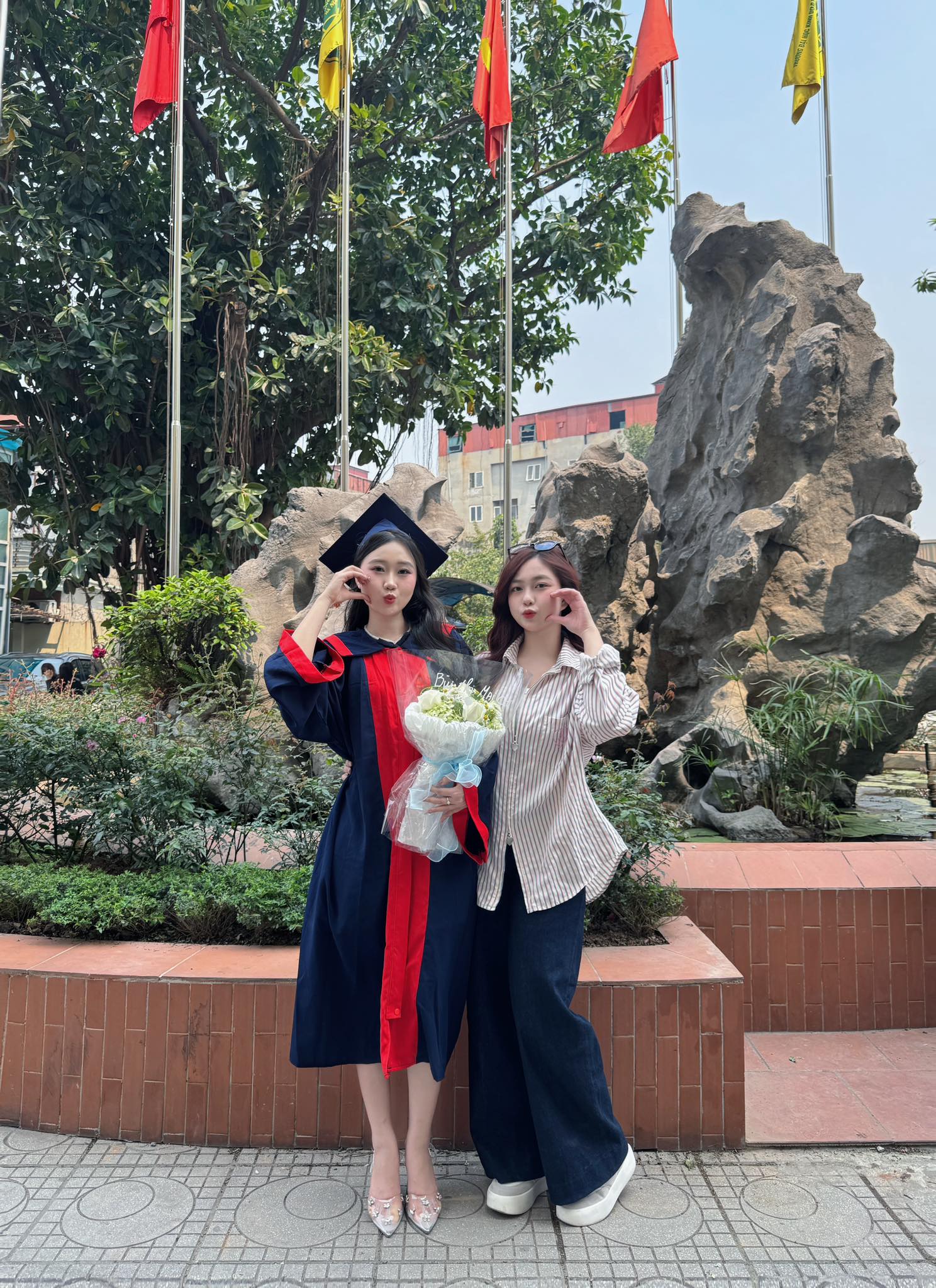 lĩnh vực hoạt động