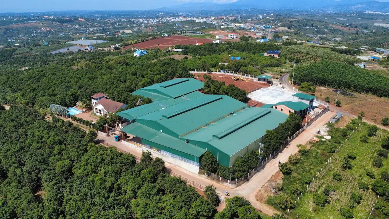 lĩnh vực hoạt động