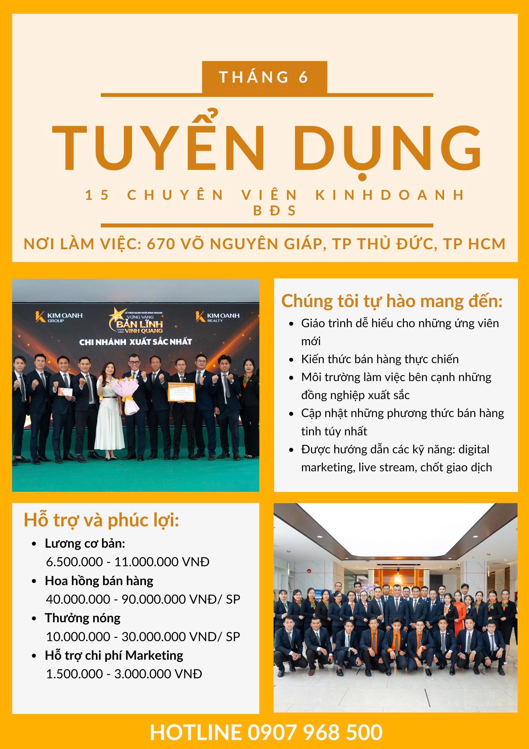 lĩnh vực hoạt động