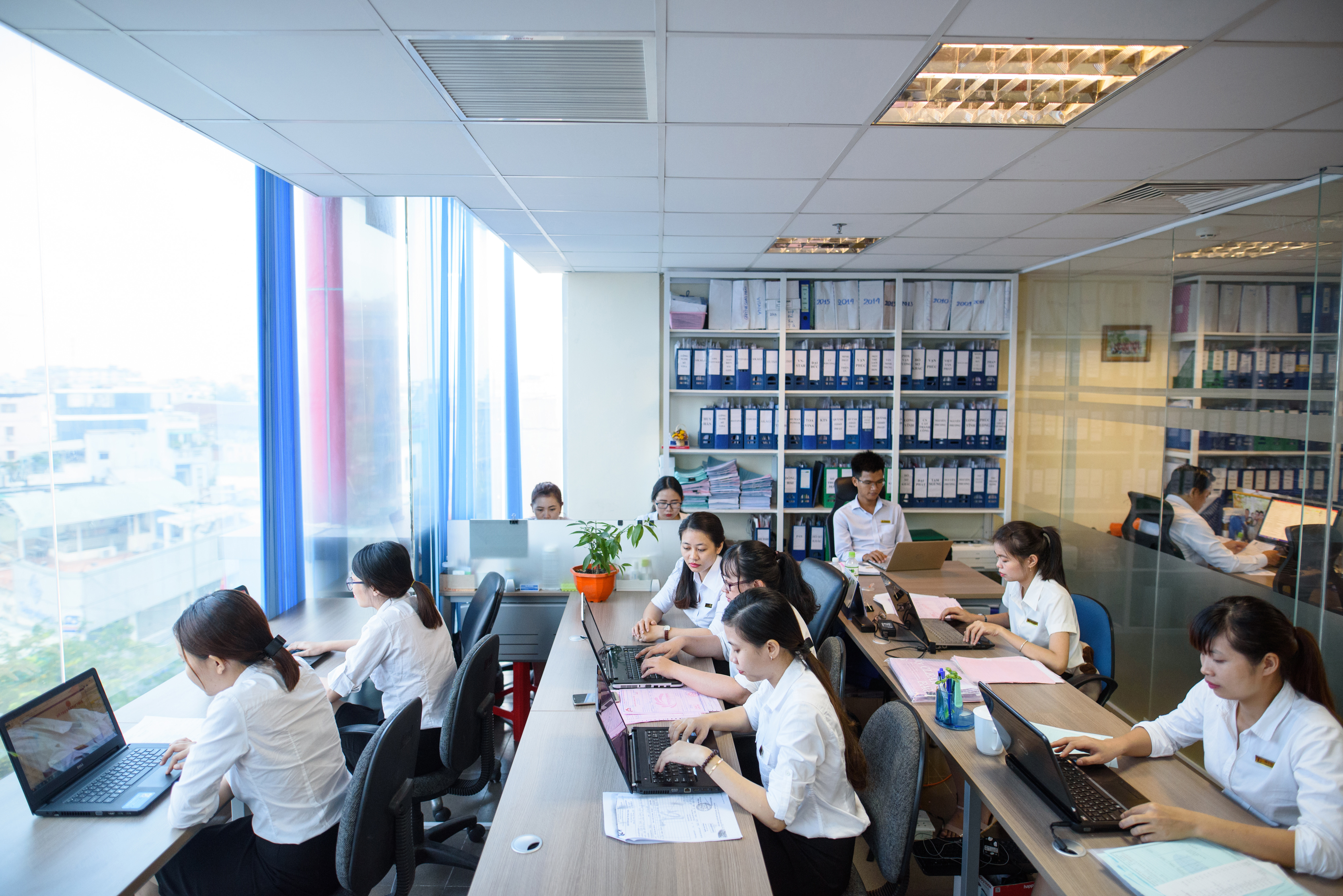 lĩnh vực hoạt động