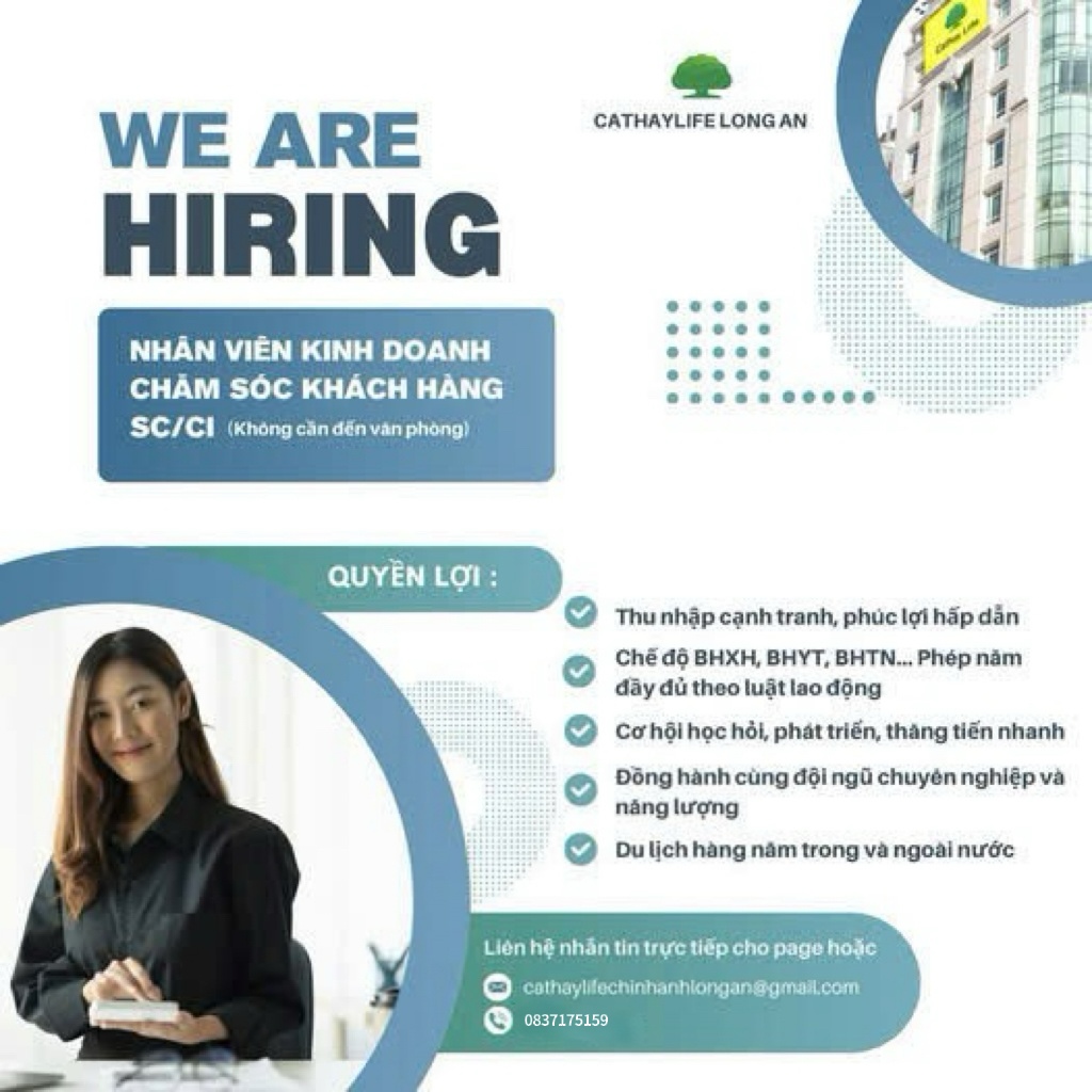 lĩnh vực hoạt động