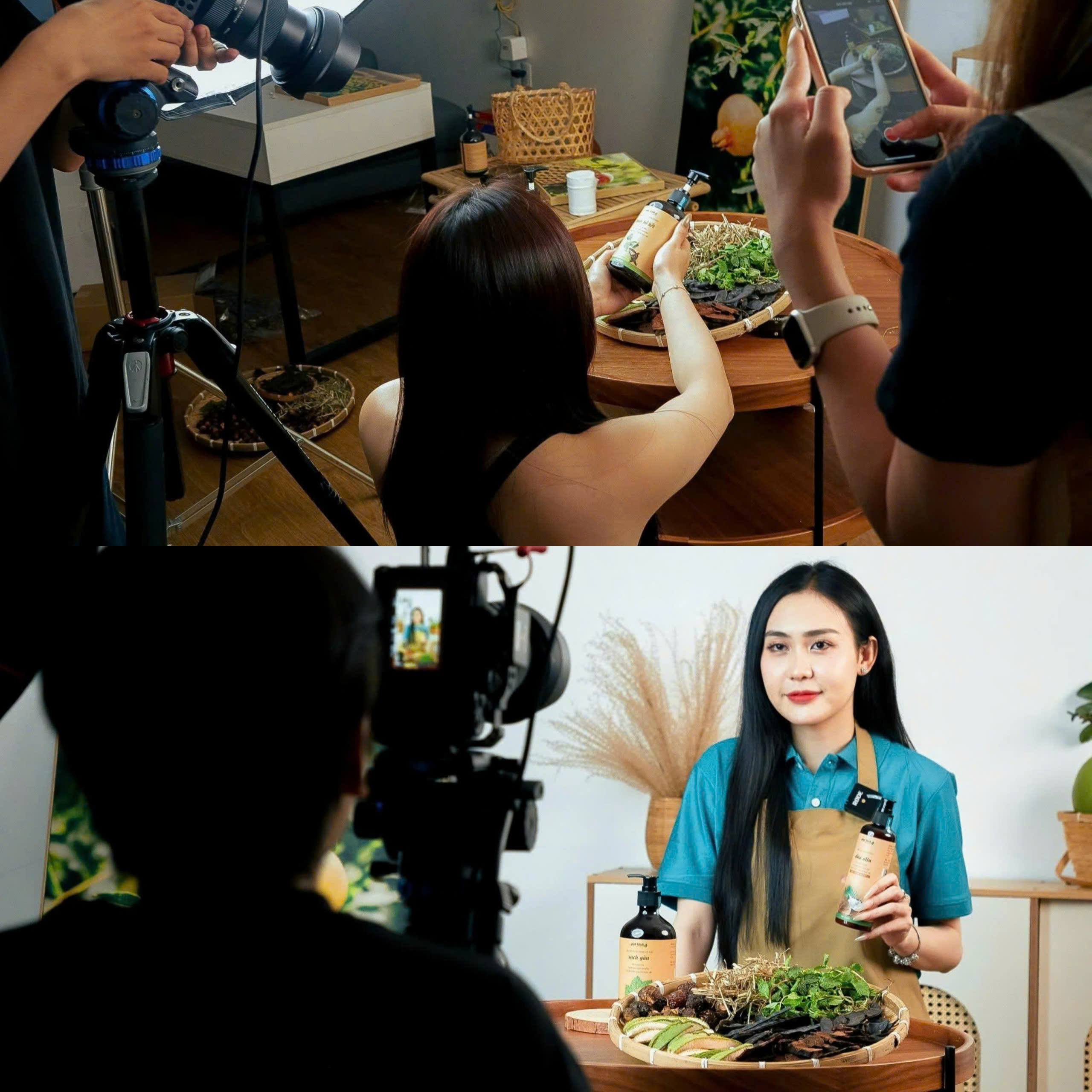 lĩnh vực hoạt động