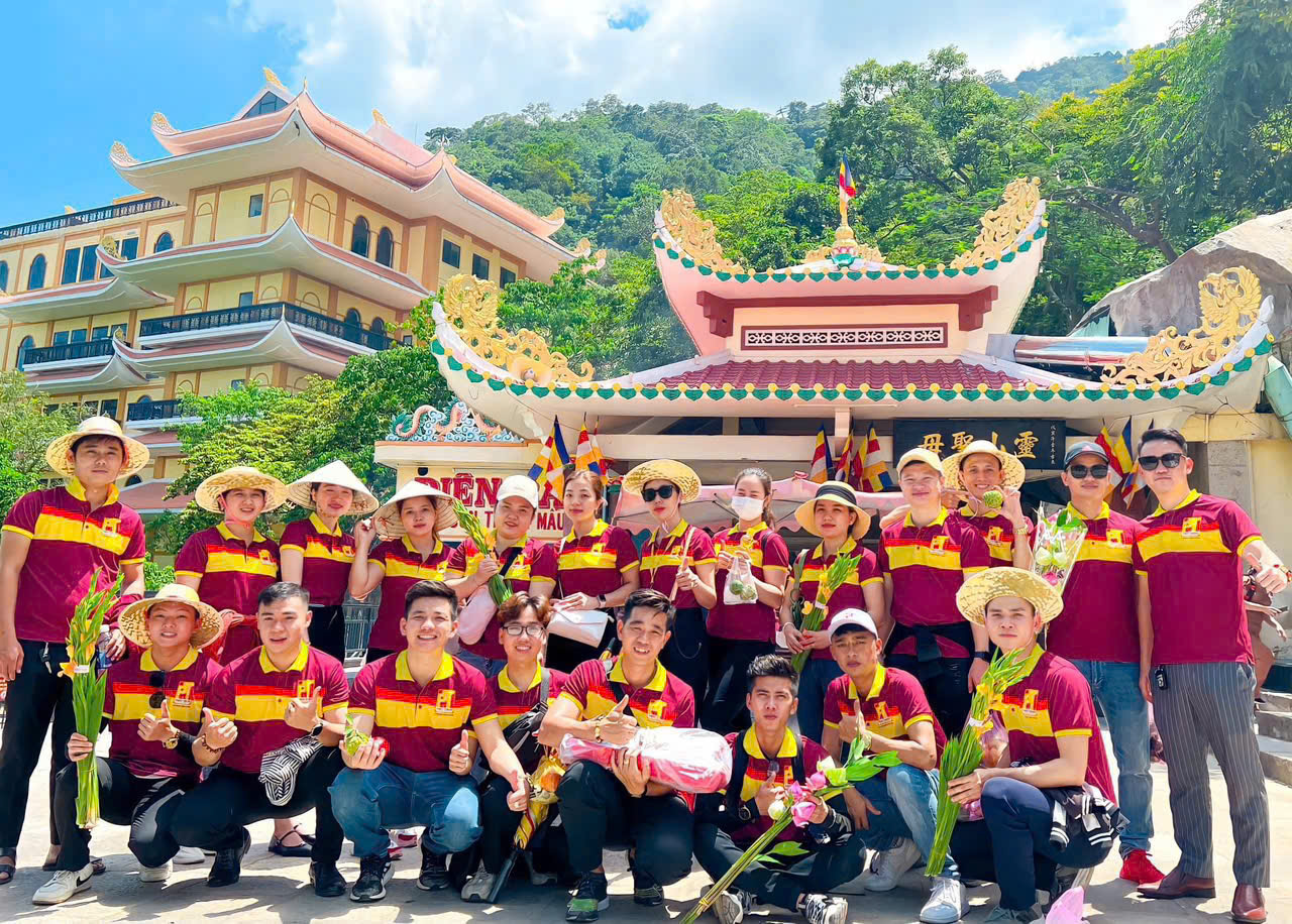 lĩnh vực hoạt động