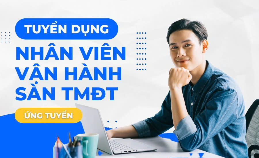 lĩnh vực hoạt động