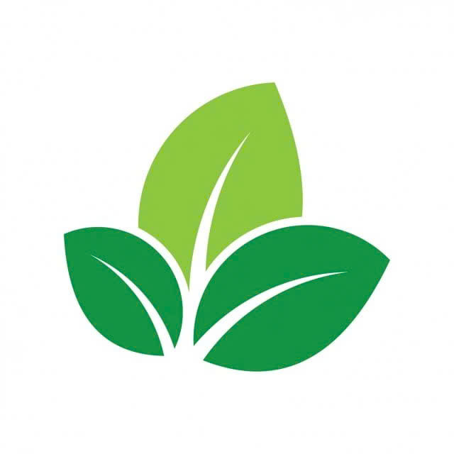 lĩnh vực hoạt động