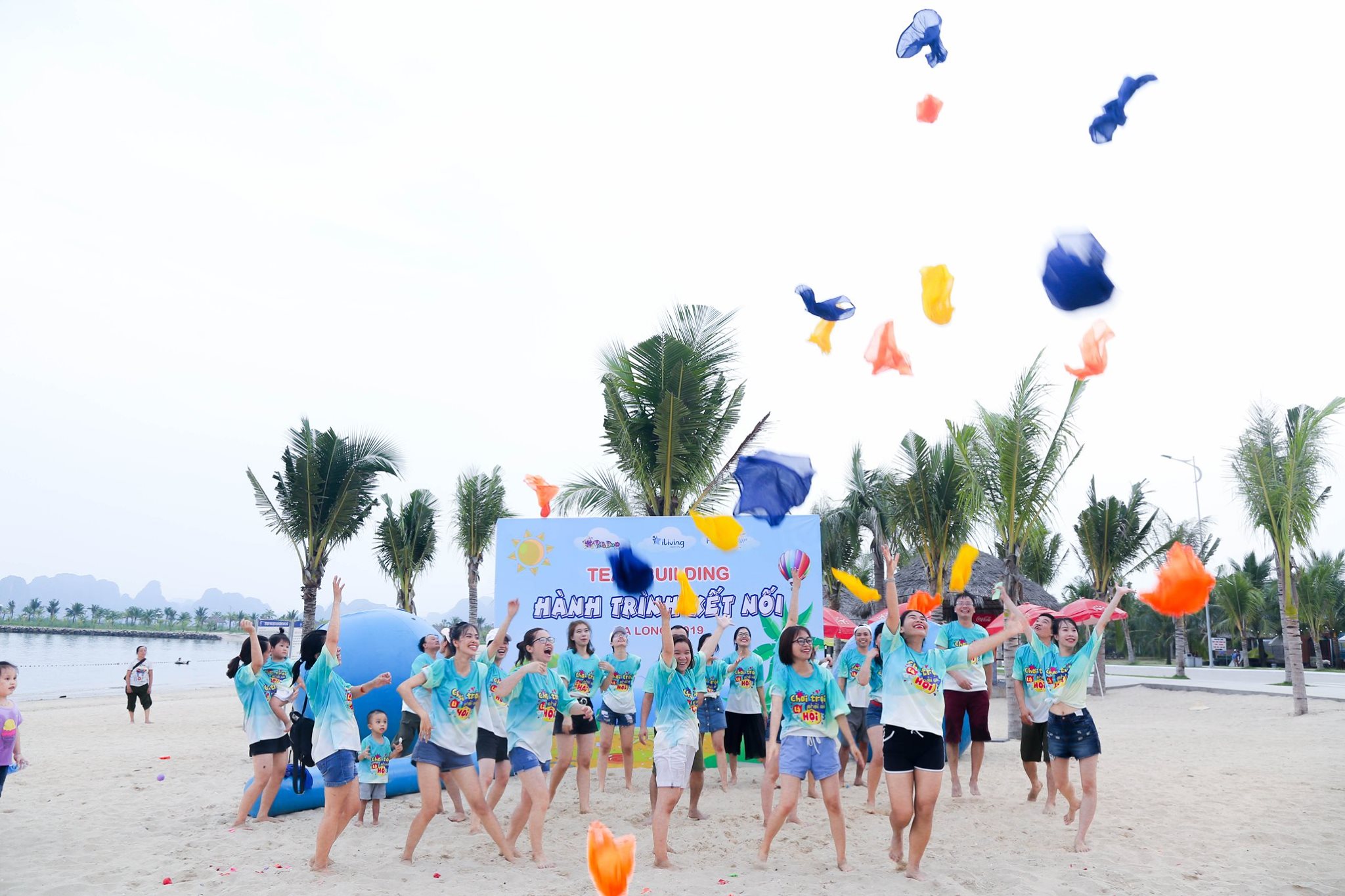 lĩnh vực hoạt động