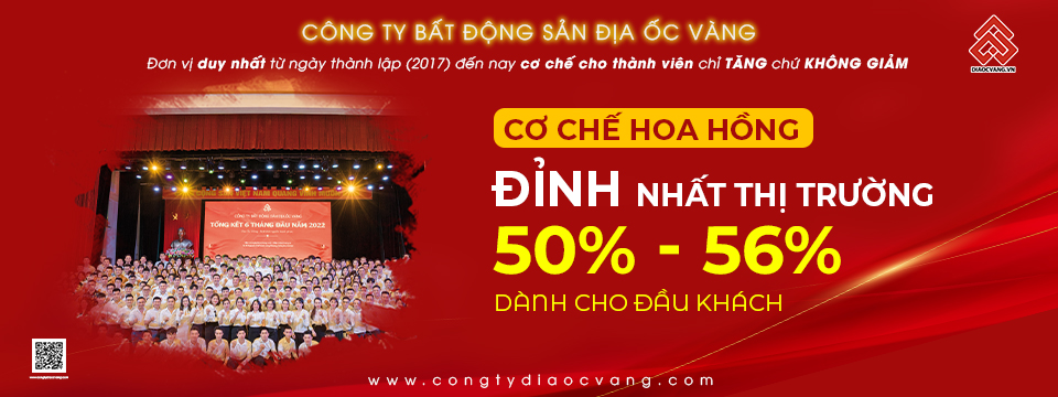 lĩnh vực hoạt động
