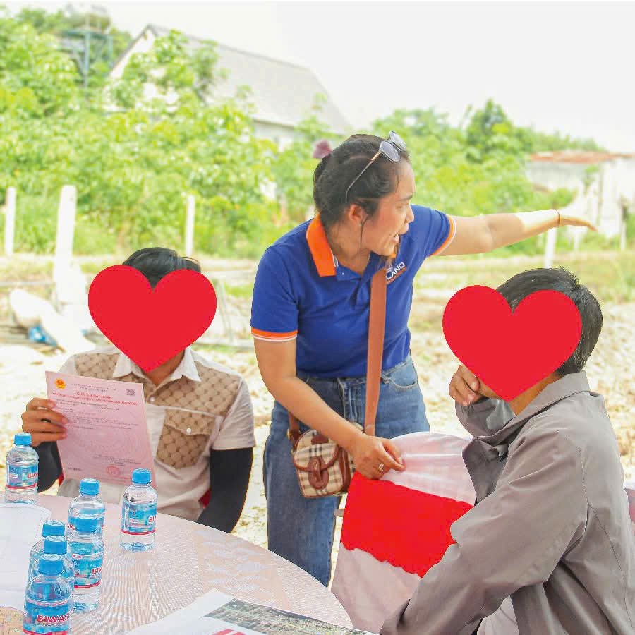 lĩnh vực hoạt động