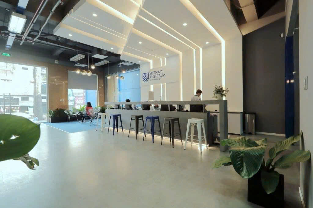 lĩnh vực hoạt động