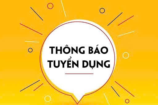 lĩnh vực hoạt động