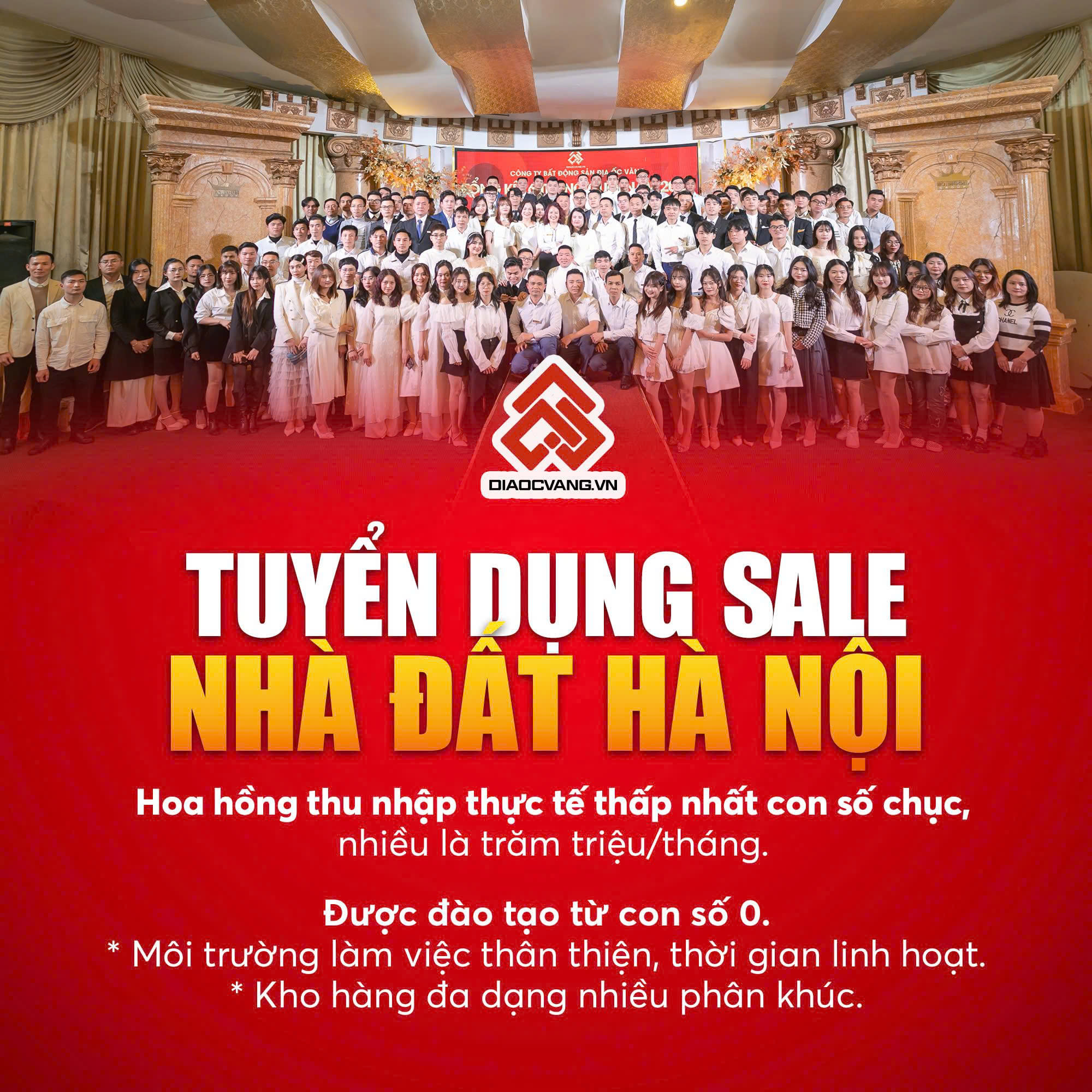 lĩnh vực hoạt động