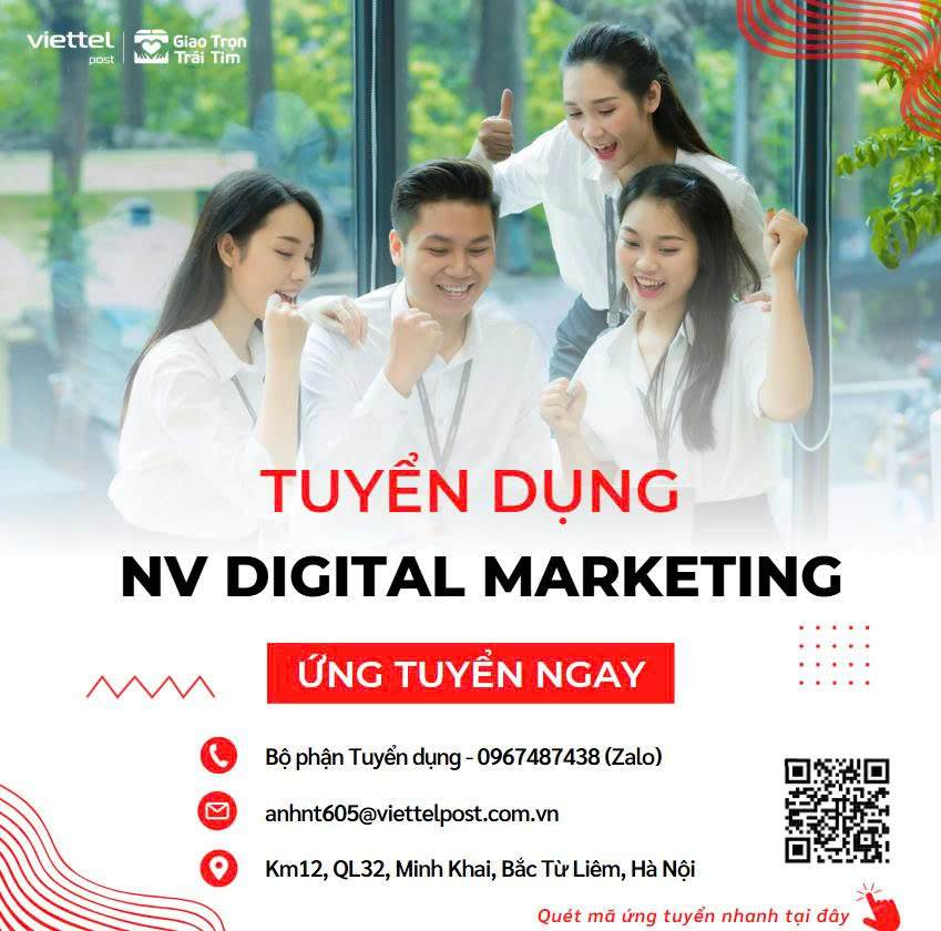 lĩnh vực hoạt động