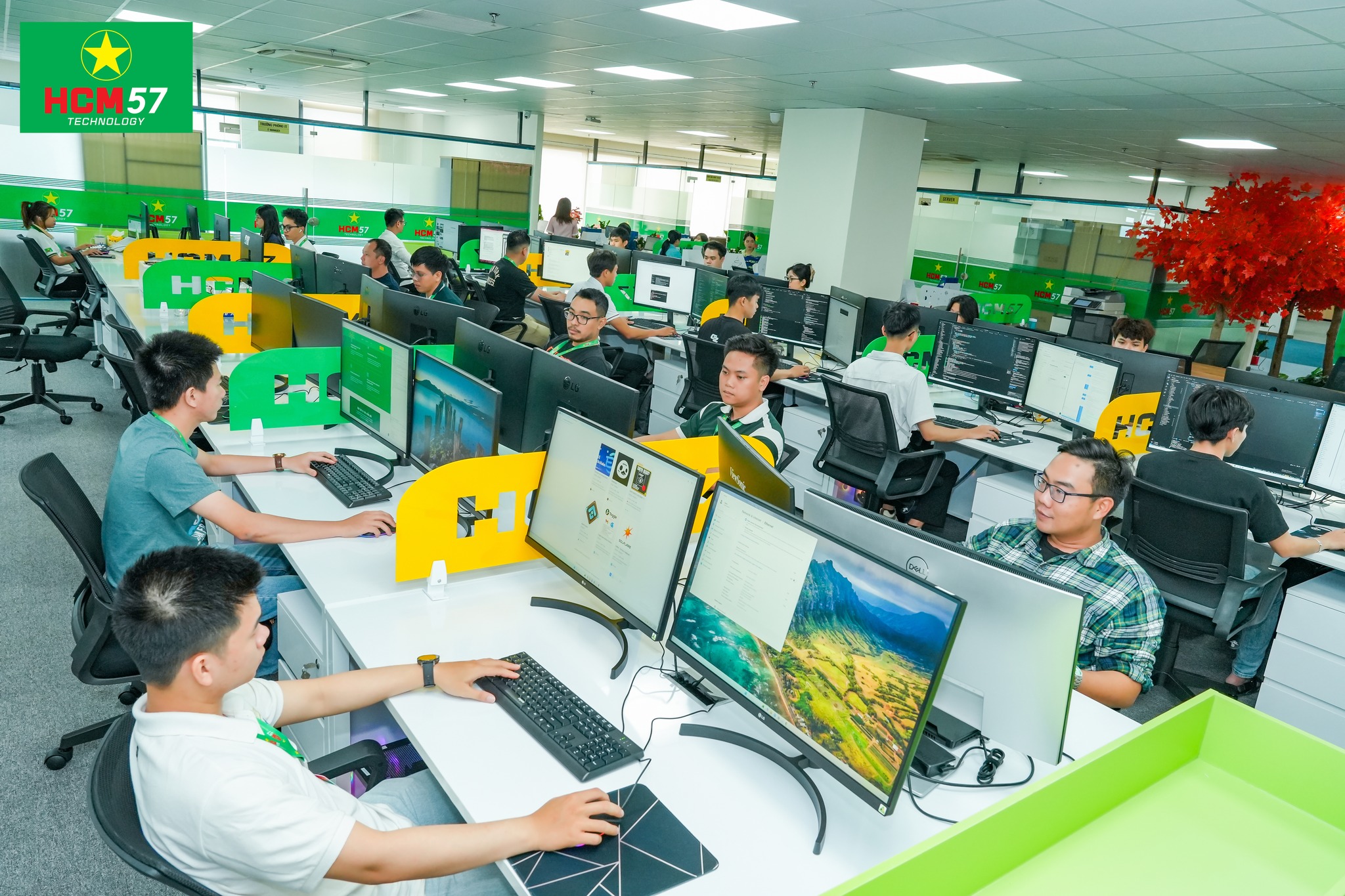 lĩnh vực hoạt động