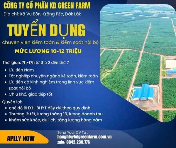 lĩnh vực hoạt động