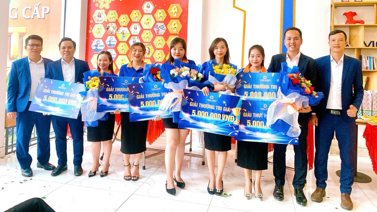 lĩnh vực hoạt động