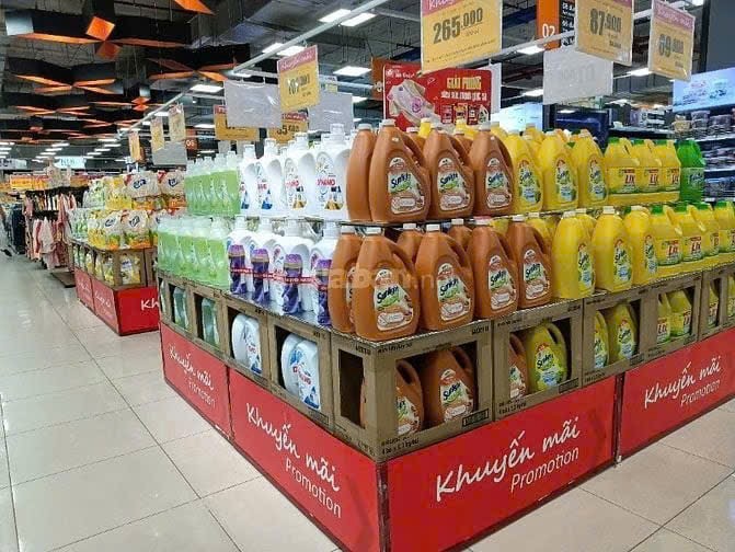 lĩnh vực hoạt động