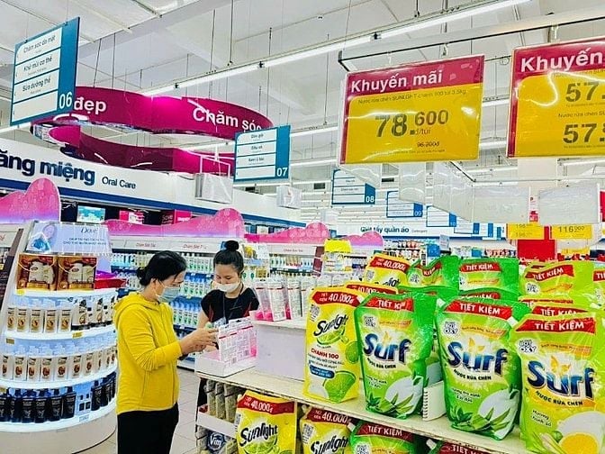 lĩnh vực hoạt động