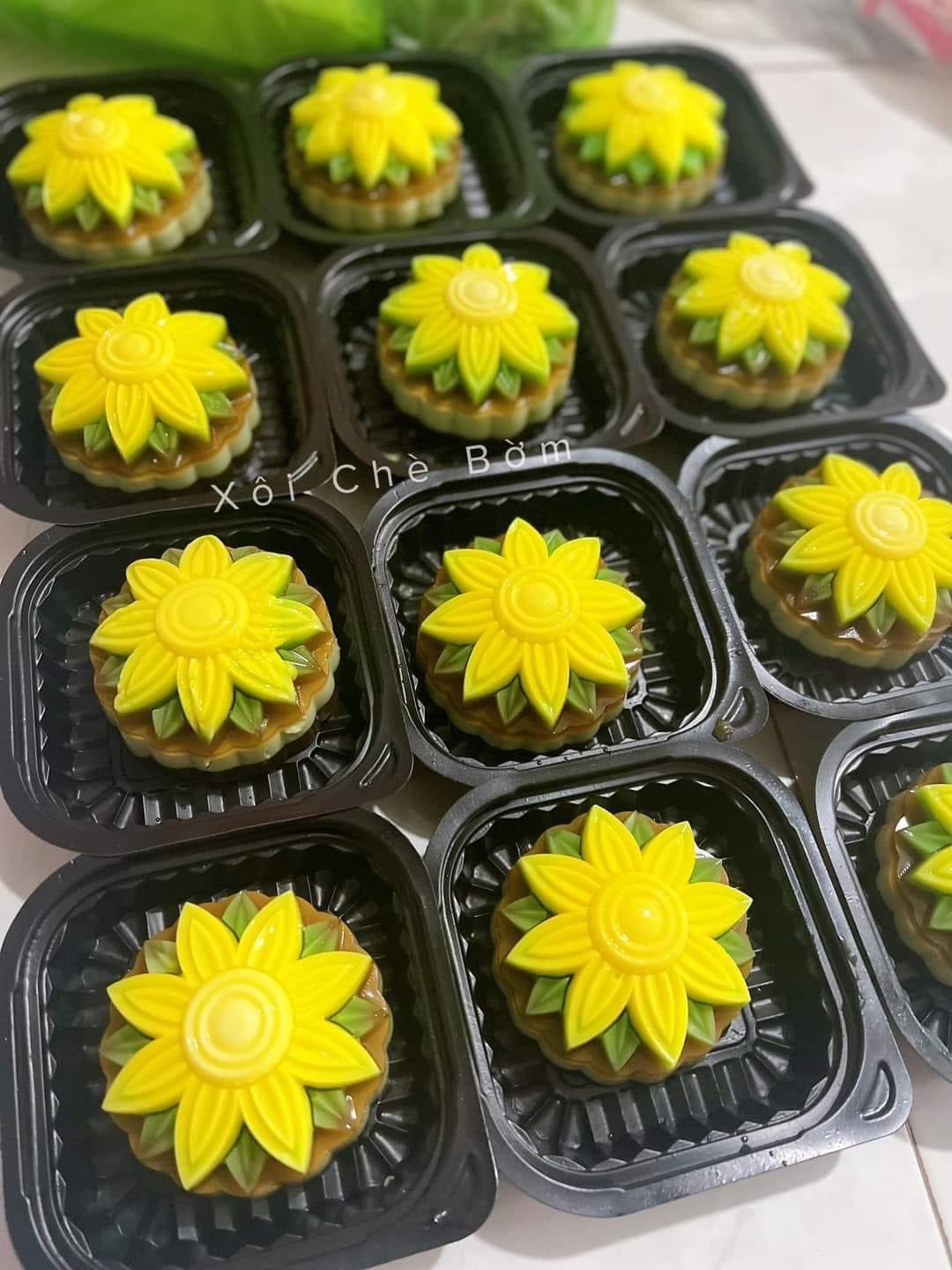lĩnh vực hoạt động