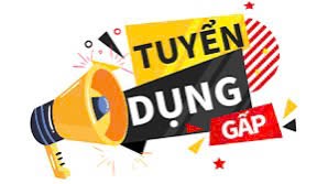lĩnh vực hoạt động