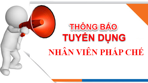 lĩnh vực hoạt động