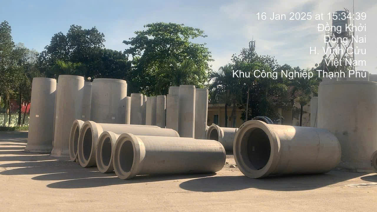 lĩnh vực hoạt động