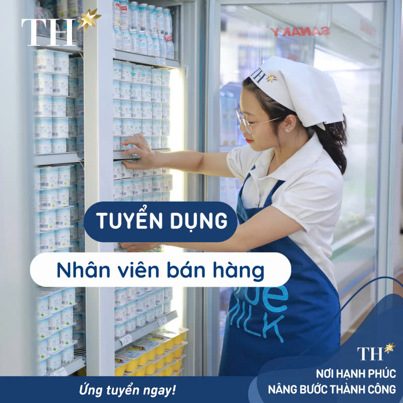 lĩnh vực hoạt động