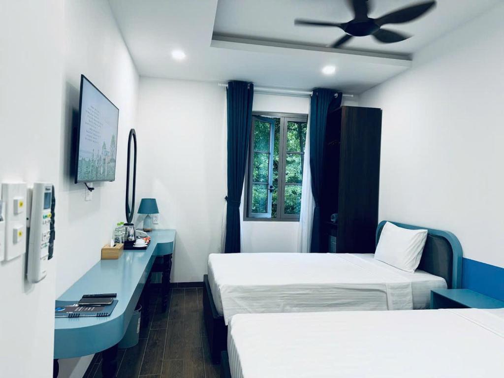 lĩnh vực hoạt động
