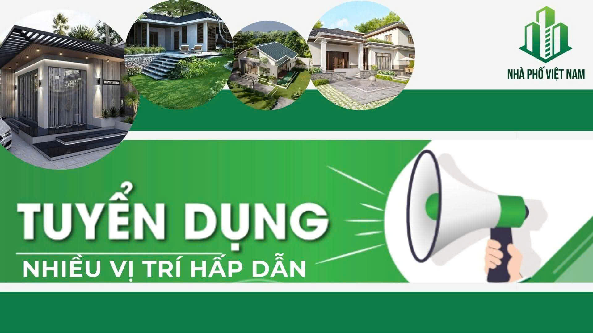 lĩnh vực hoạt động