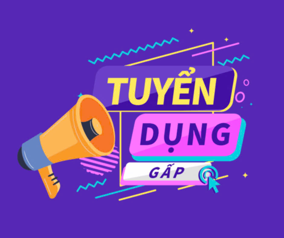 lĩnh vực hoạt động