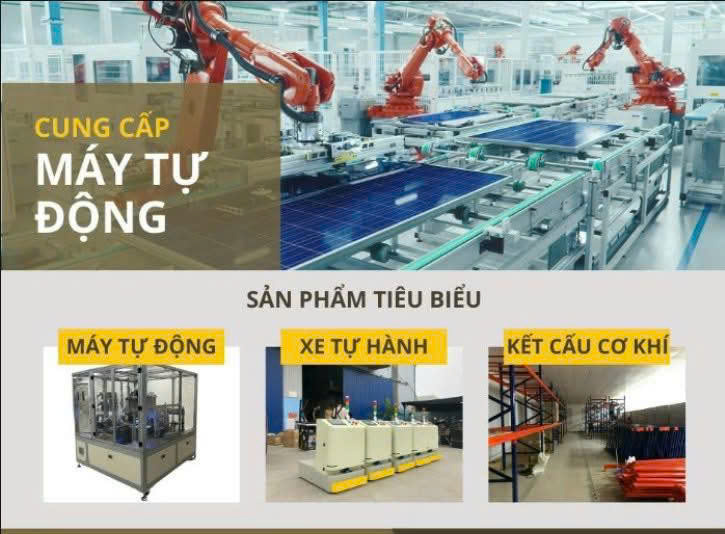 lĩnh vực hoạt động