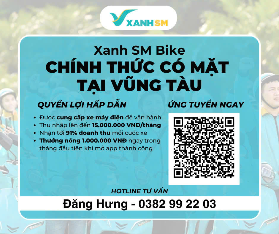 lĩnh vực hoạt động
