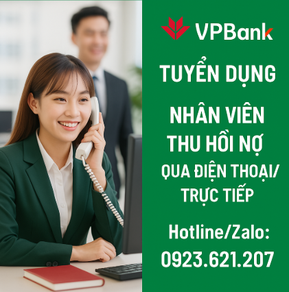 lĩnh vực hoạt động