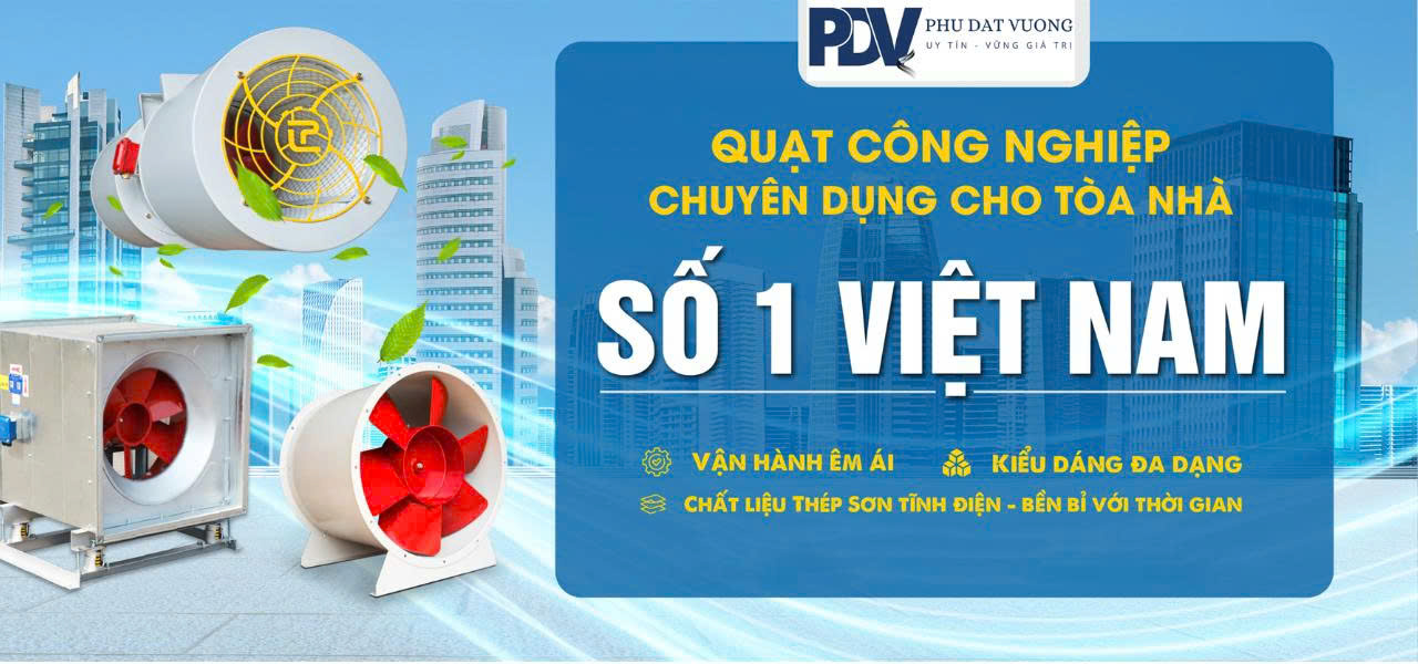 lĩnh vực hoạt động