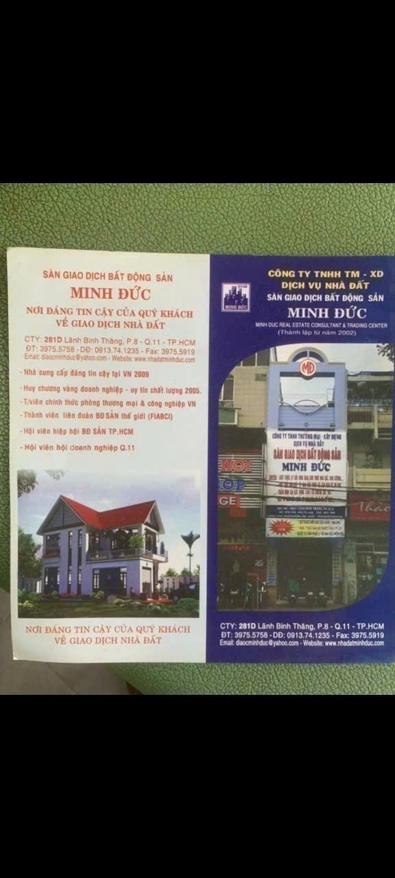 lĩnh vực hoạt động