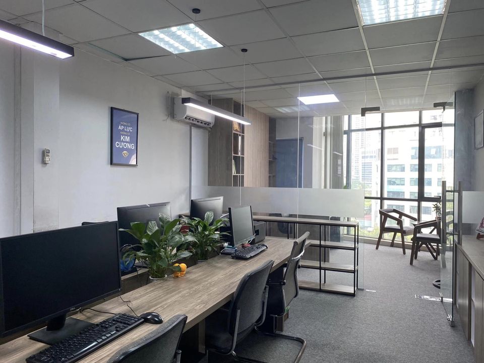lĩnh vực hoạt động