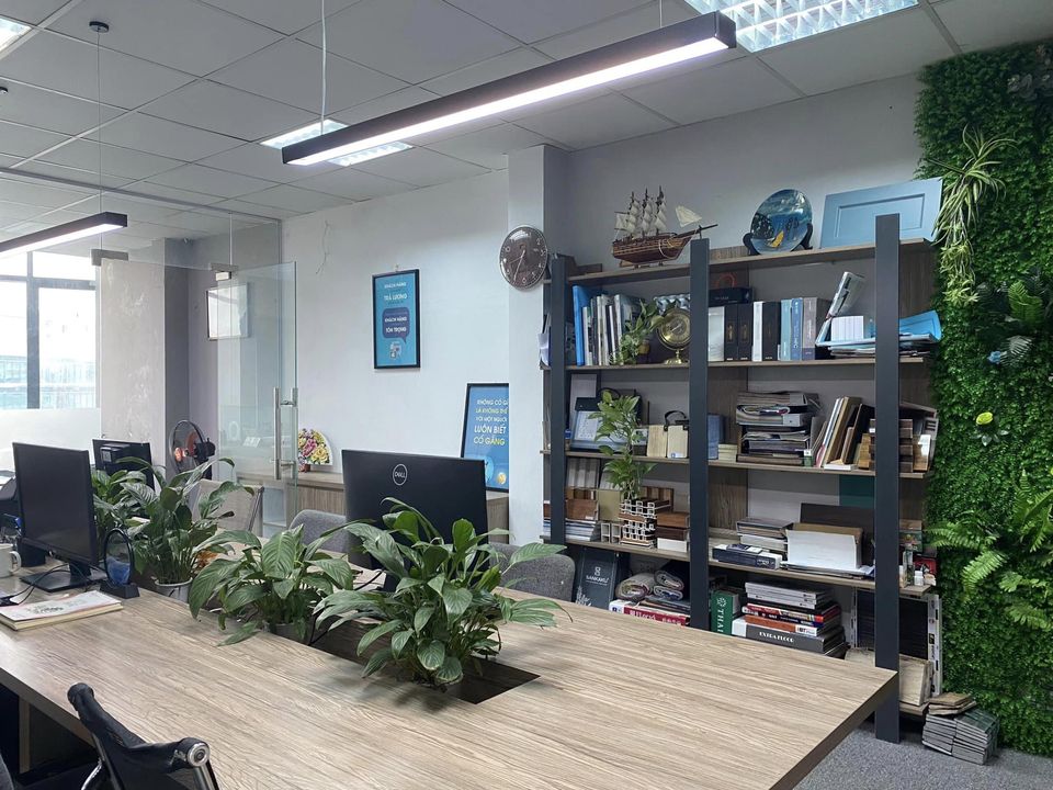 lĩnh vực hoạt động