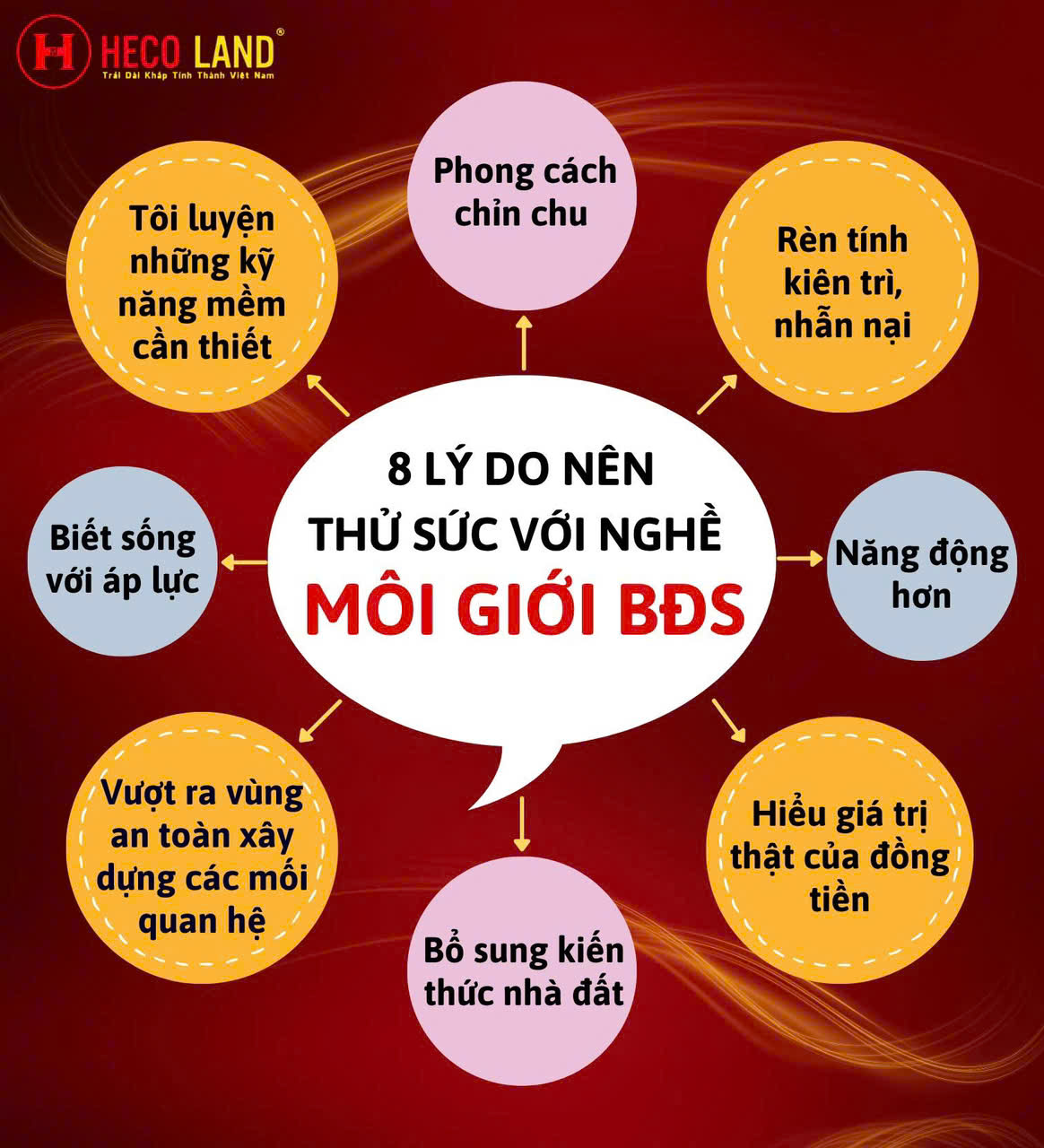 lĩnh vực hoạt động