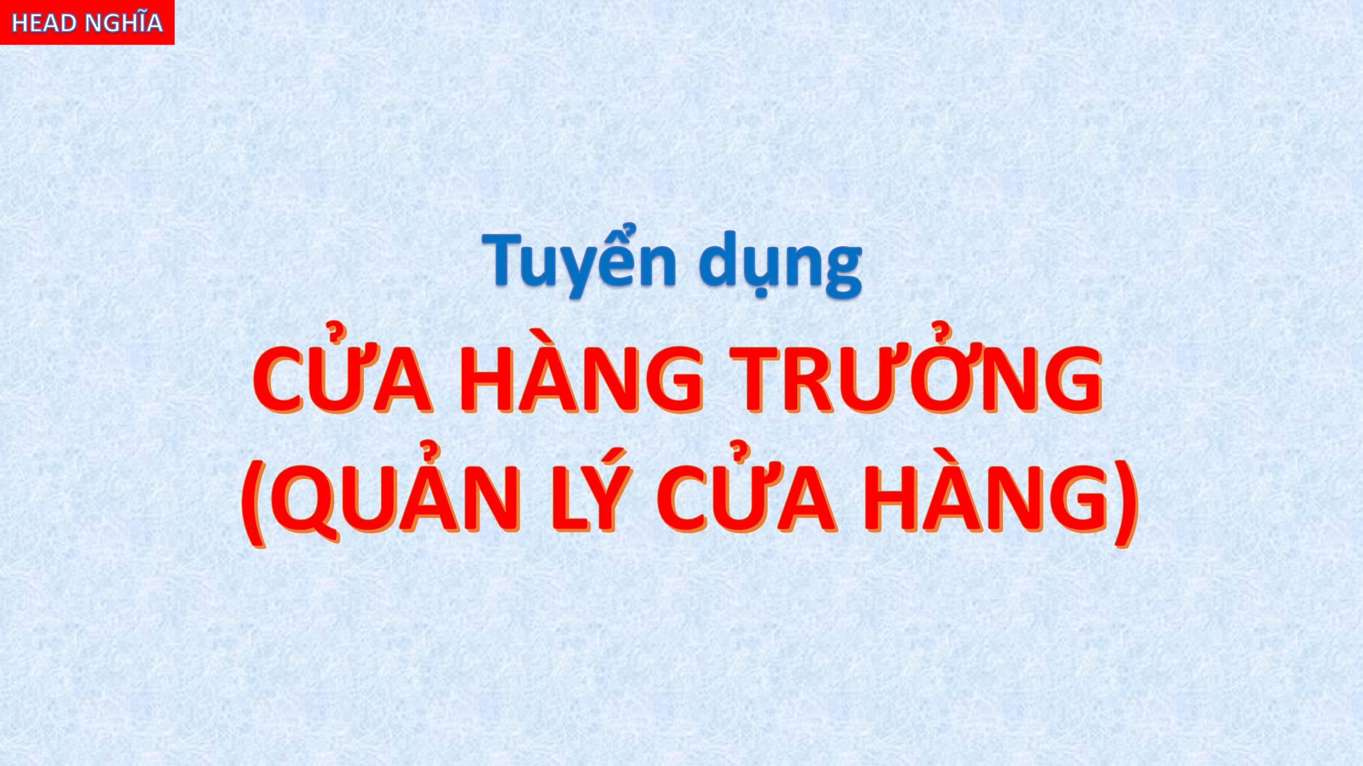 lĩnh vực hoạt động