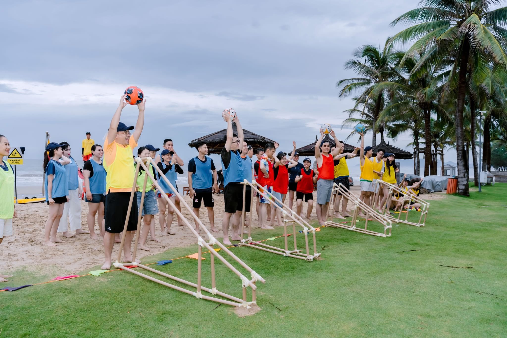 lĩnh vực hoạt động