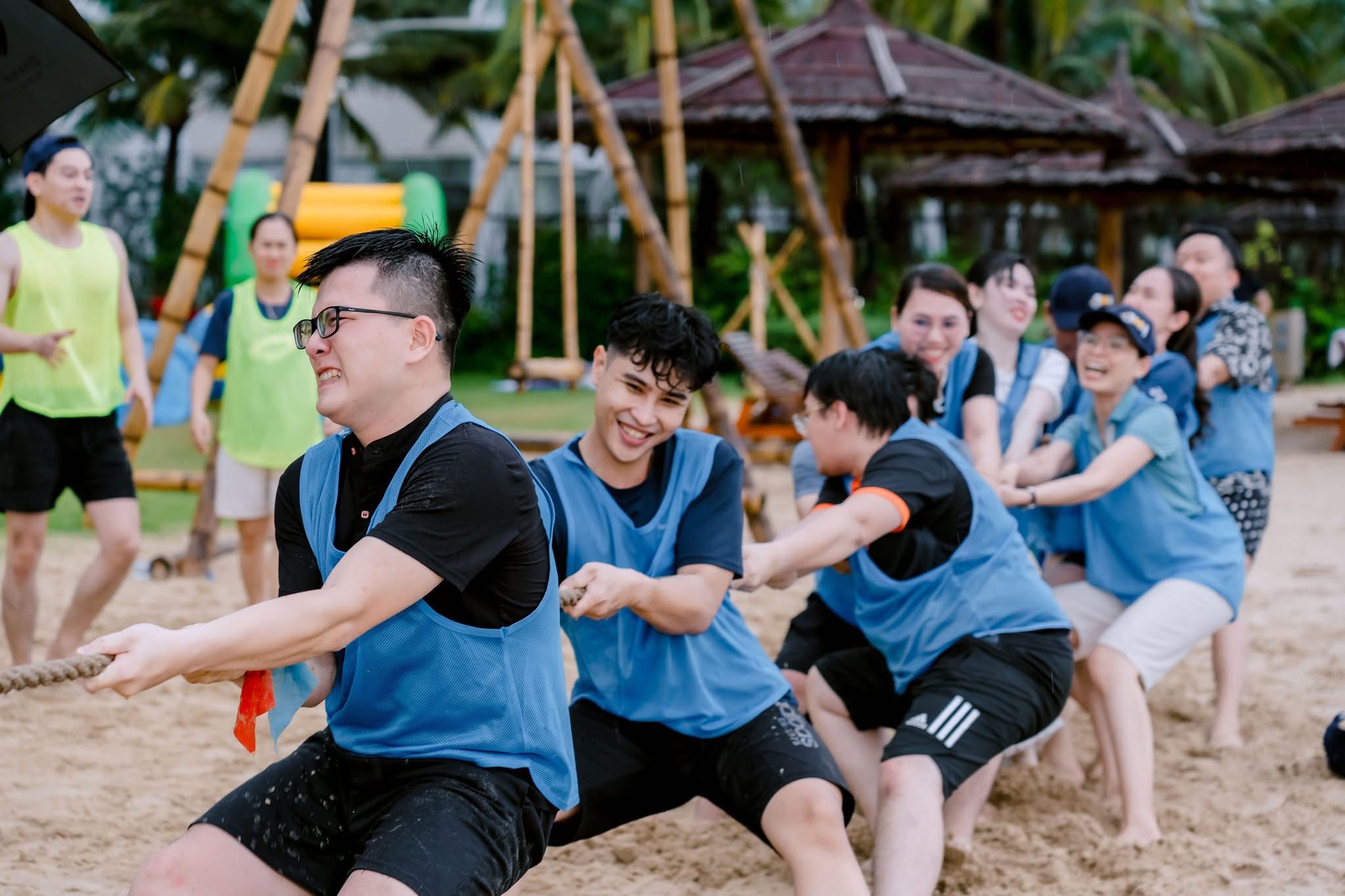 lĩnh vực hoạt động