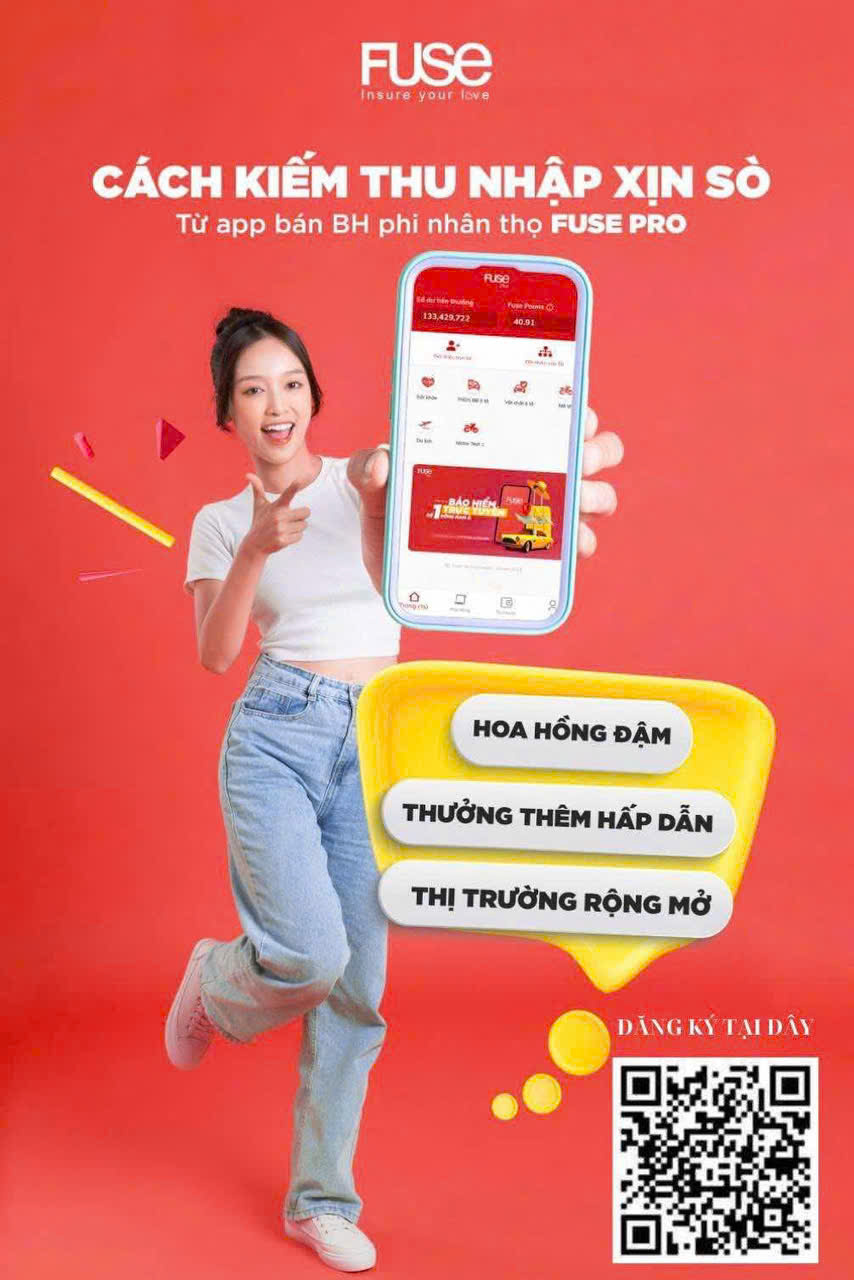 lĩnh vực hoạt động