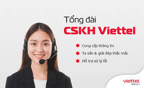 lĩnh vực hoạt động