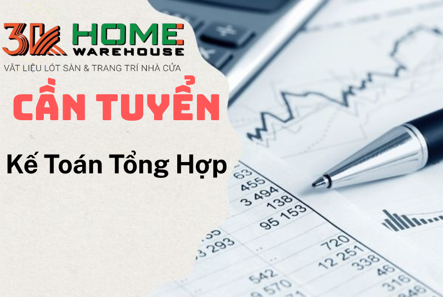 lĩnh vực hoạt động