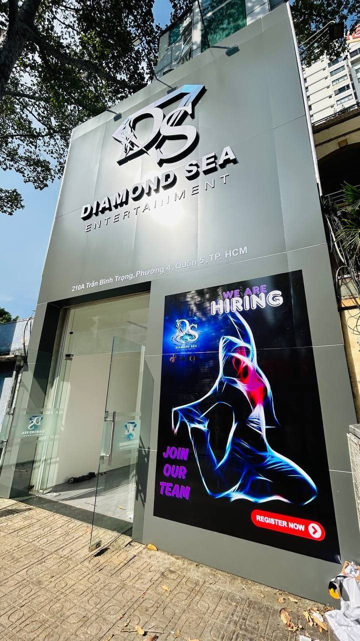 lĩnh vực hoạt động