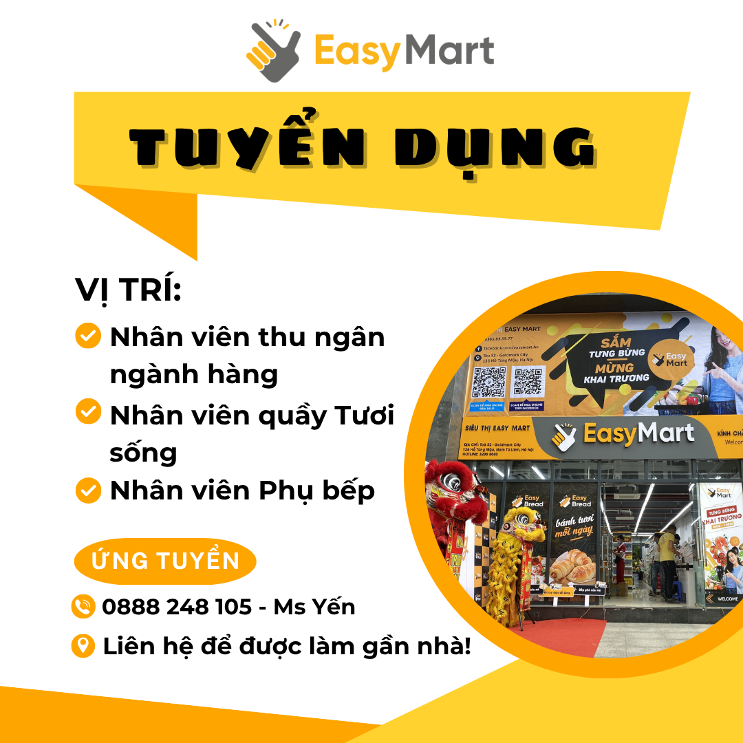 lĩnh vực hoạt động