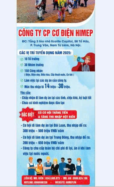 lĩnh vực hoạt động