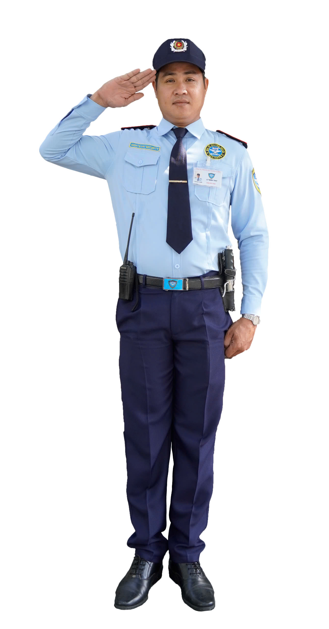 lĩnh vực hoạt động